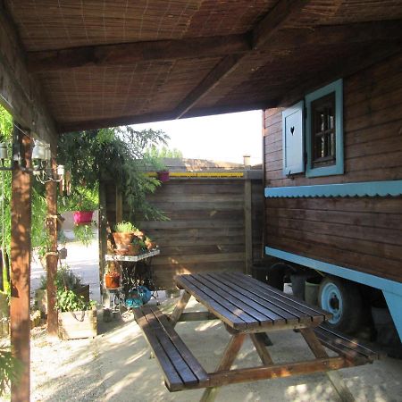 La Roulotte Des Carpates Hotell Gaillac Exteriör bild