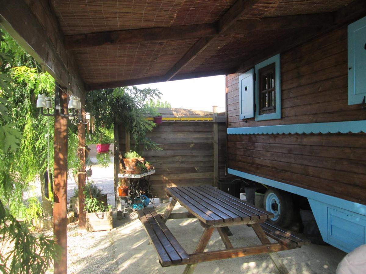 La Roulotte Des Carpates Hotell Gaillac Exteriör bild